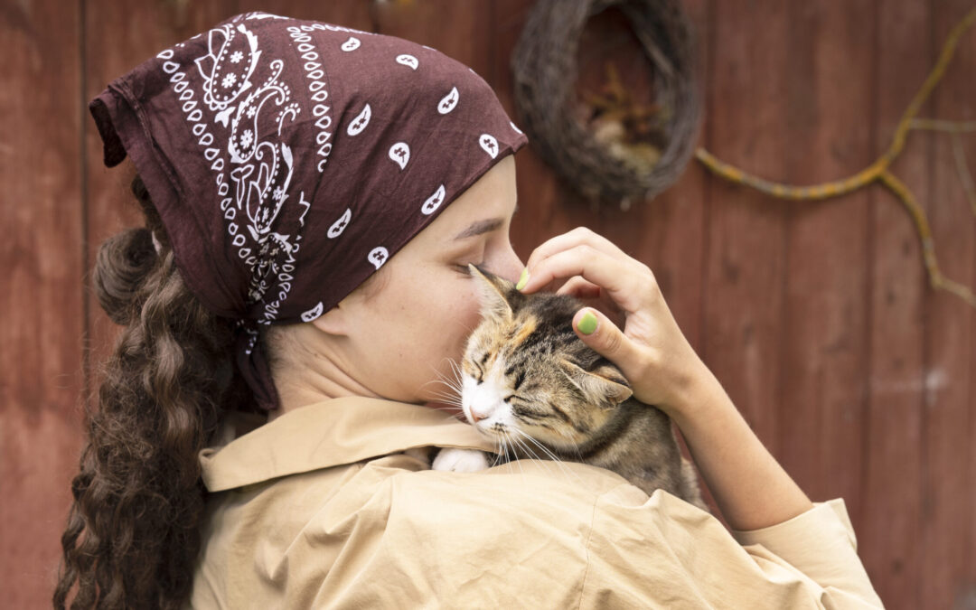 Gato estresado: causas, síntomas y cómo ayudarlo a relajarse