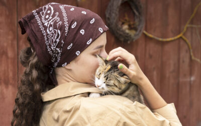 Gato estresado: causas, síntomas y cómo ayudarlo a relajarse