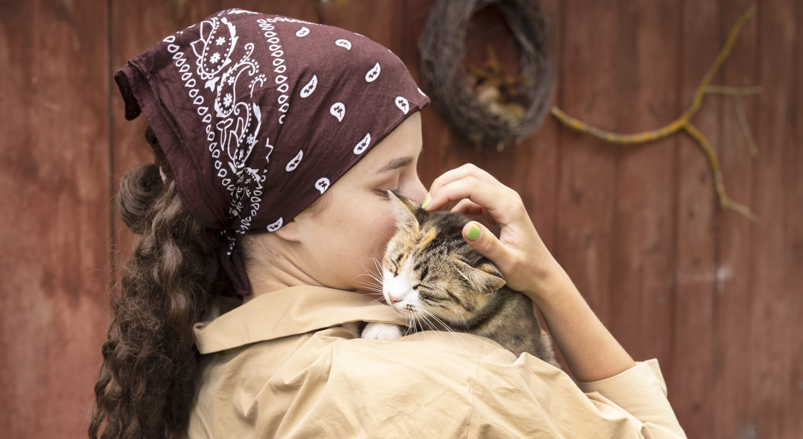 Acariciando gato Sesión de terapia felina para fortalecer la relación con tu gato